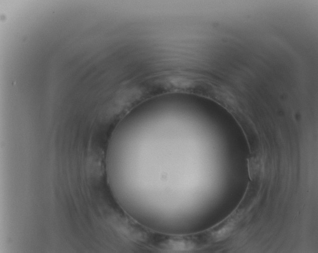 X0000062920464200601202006