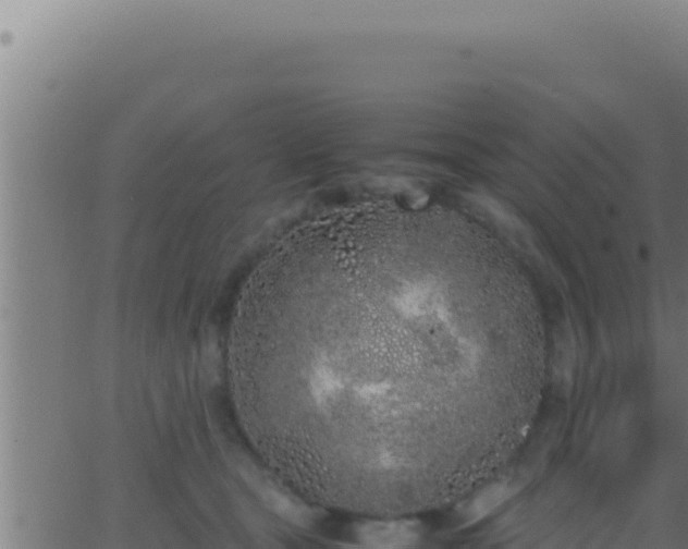 X0000062920465200601202006