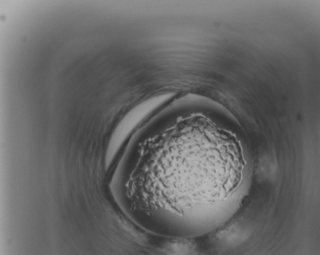 X0000062920466200601202006