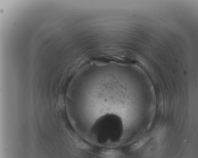 X0000062920467200601202006