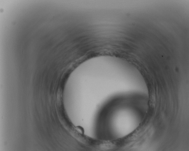 X0000062920468200601202006