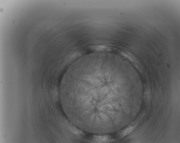 X0000062920469200601202006