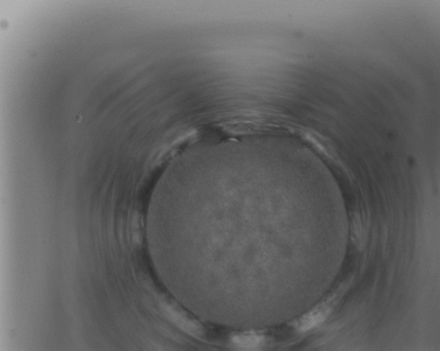 X0000062920470200601202006