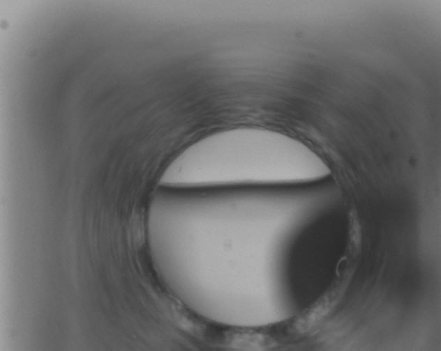 X0000062920471200601202006