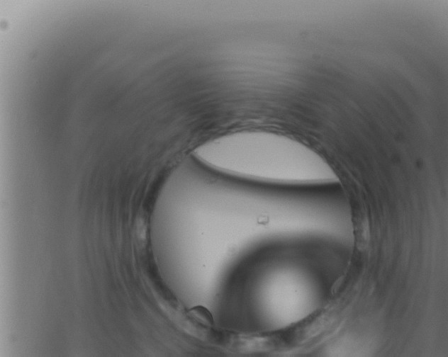 X0000062920472200601202006