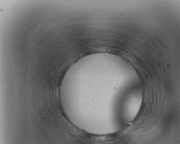 X0000062920473200601202006