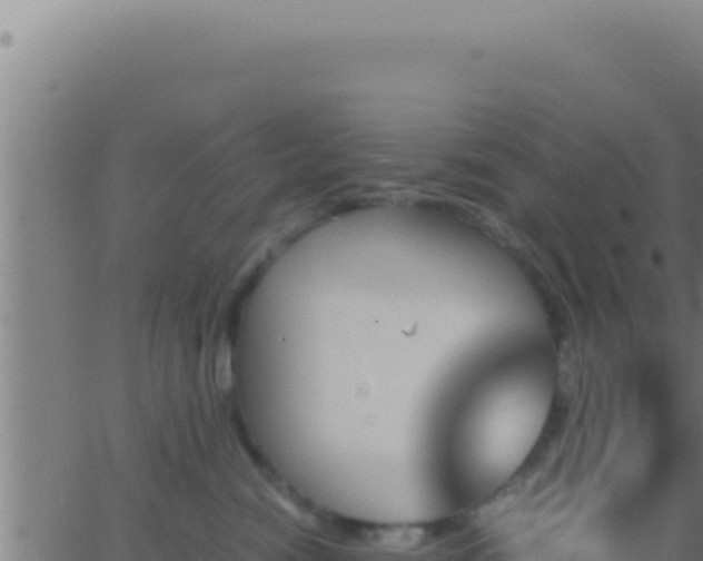 X0000062920474200601202006