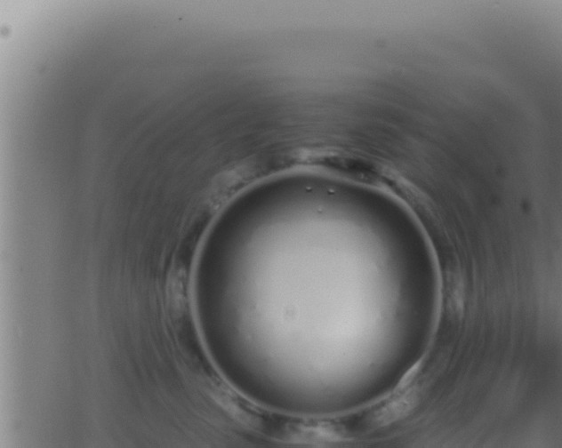 X0000062920475200601202006