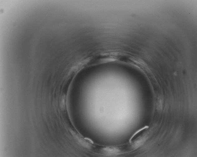 X0000062920477200601202006