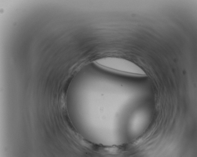 X0000062920478200601202006