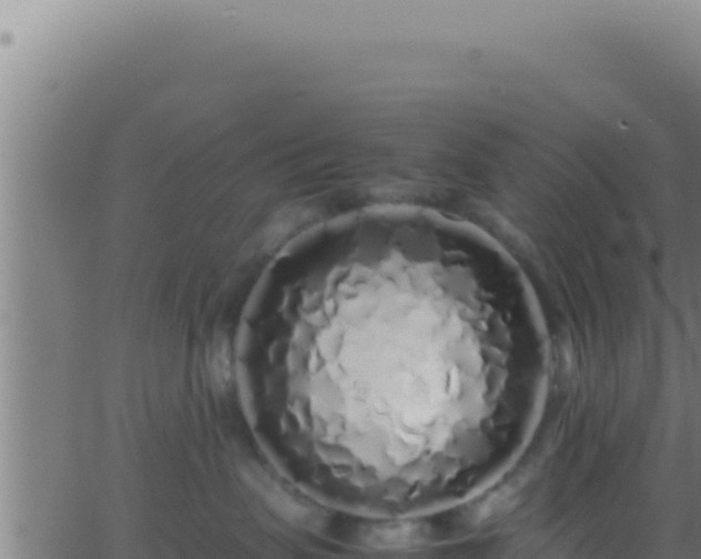 X0000062920479200601202006