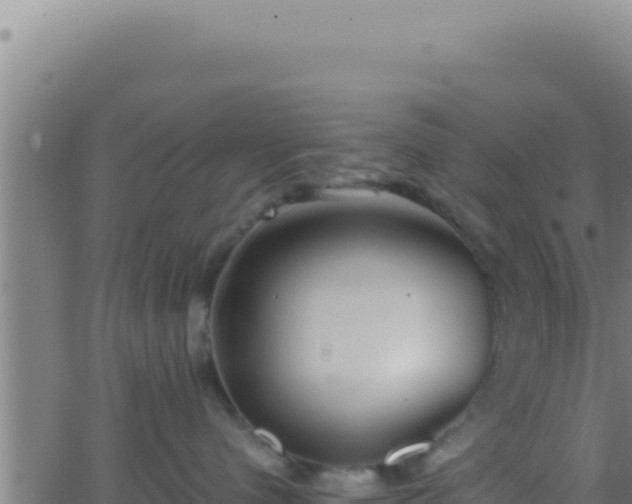 X0000062920480200601202006