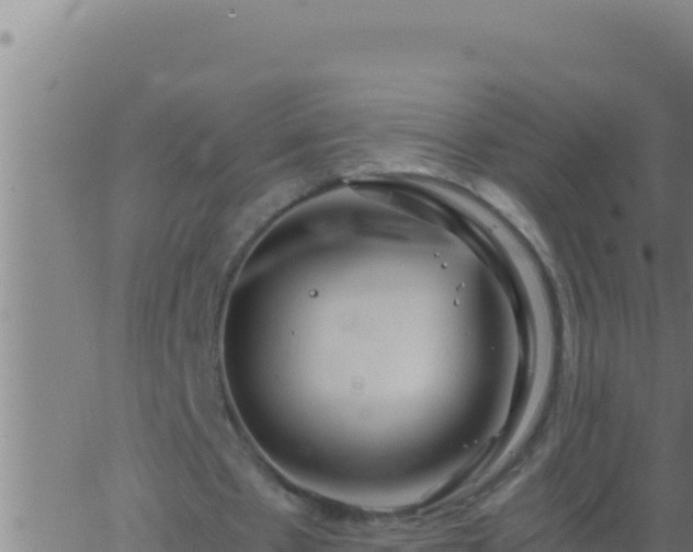 X0000062920481200601202005