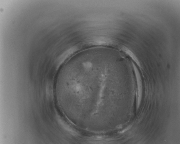 X0000062920482200601202005