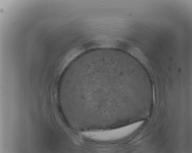 X0000062920483200601202005