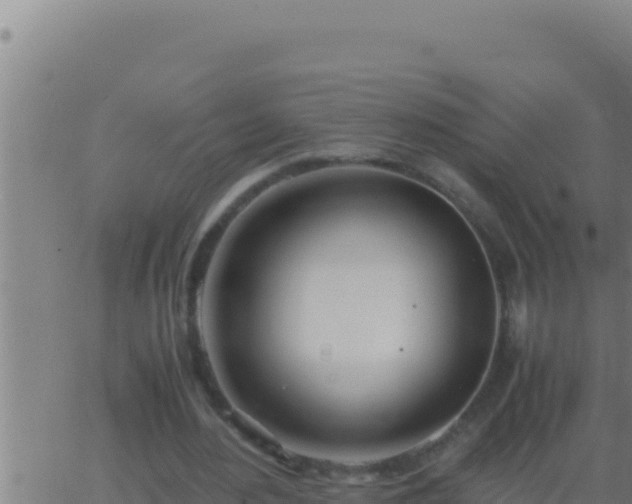 X0000062920484200601202005