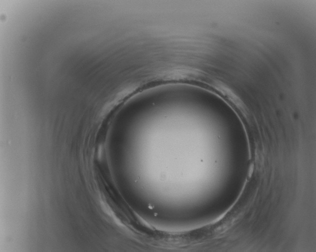 X0000062920485200601202005