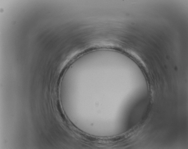 X0000062920487200601202005