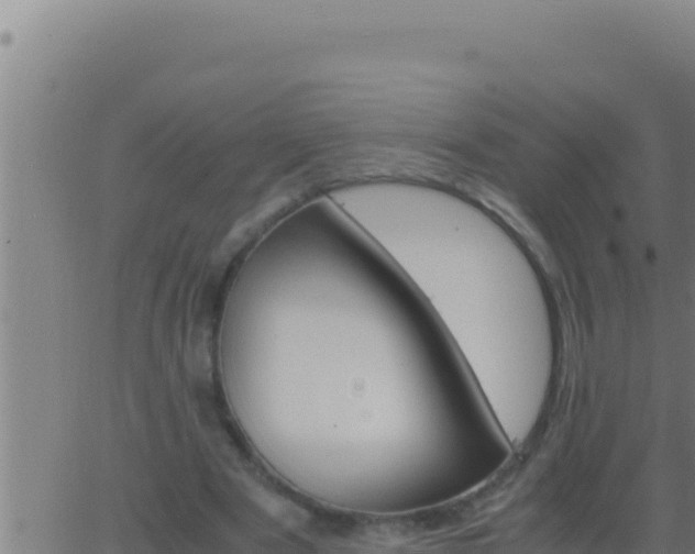 X0000062920489200601202005