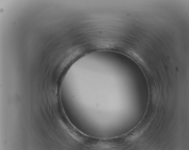 X0000062920490200601202005