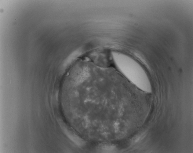 X0000062920491200601202005