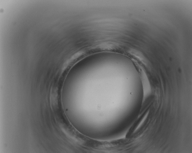 X0000062920492200601202005