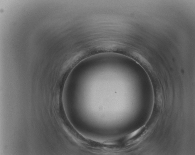 X0000062920493200601202005