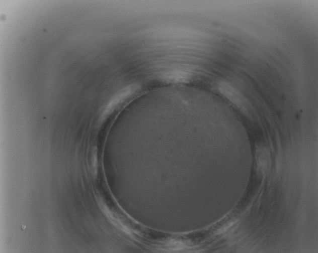 X0000062920494200601202005