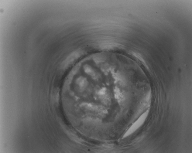 X0000062920495200601202005