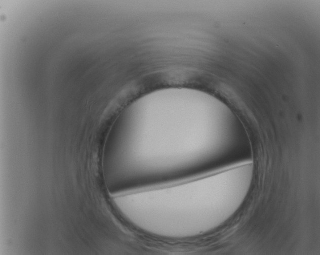 X0000062920497200601202005