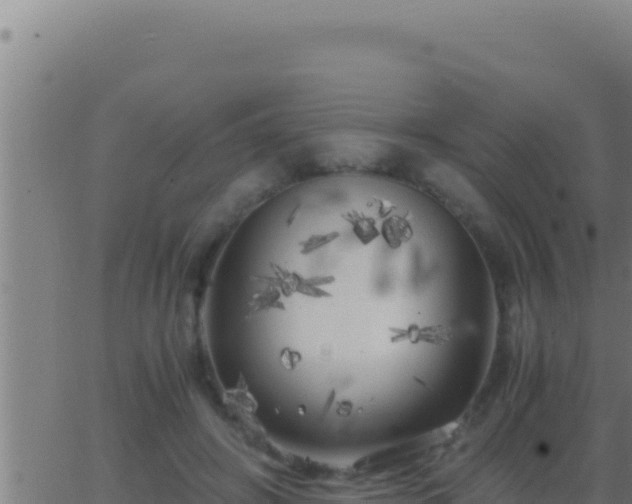 X0000062920498200601202005