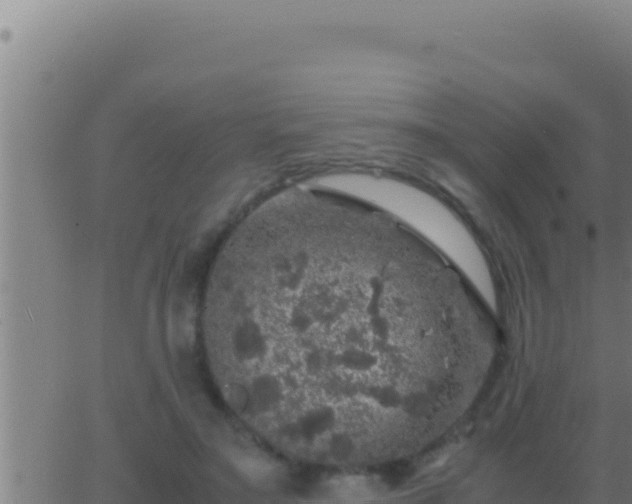 X0000062920499200601202005