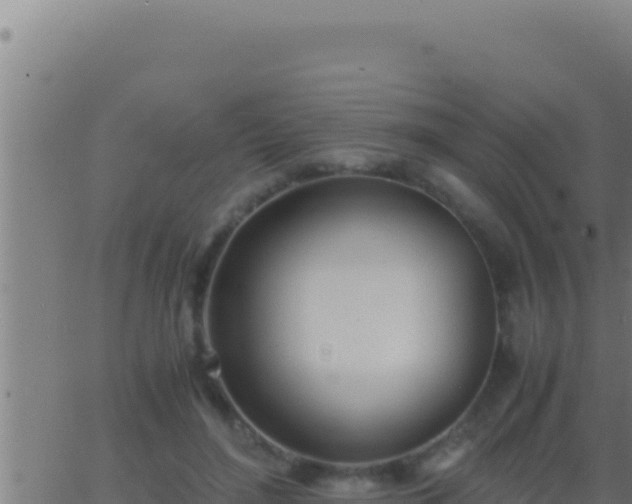 X0000062920500200601202005