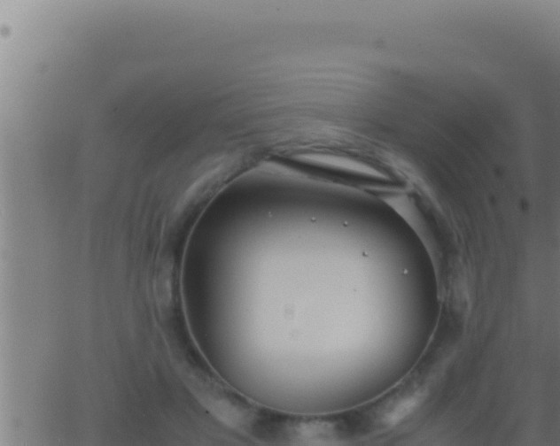 X0000062920501200601202005