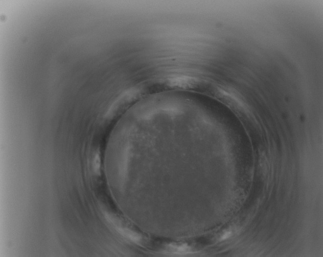 X0000062920502200601202005