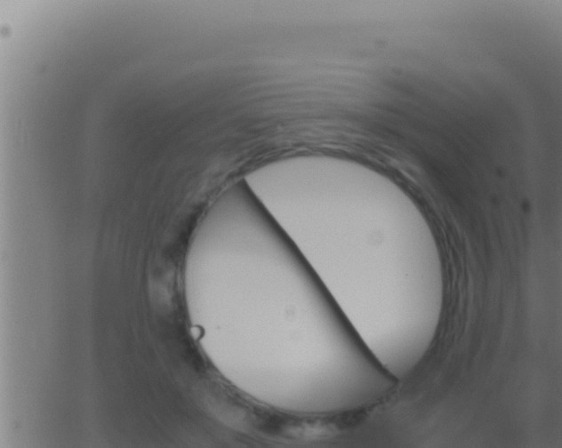 X0000062920503200601202005