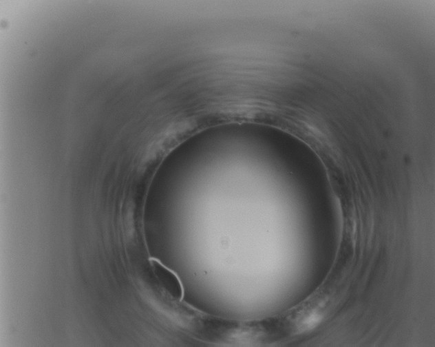 X0000062920504200601202005