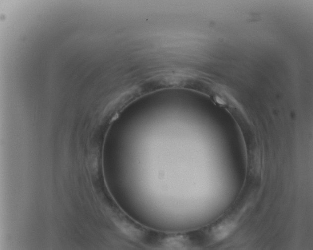 X0000062920505200601202005