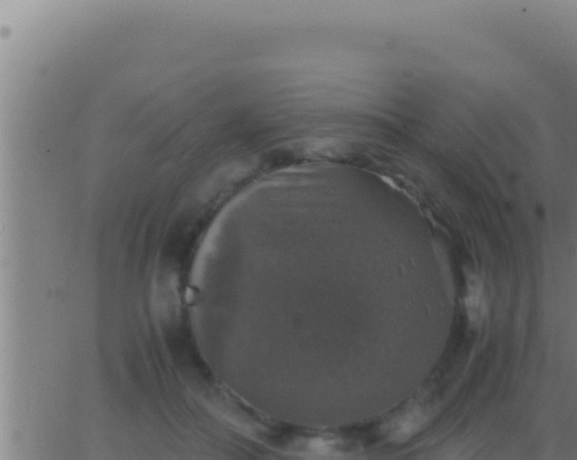 X0000062920506200601202005