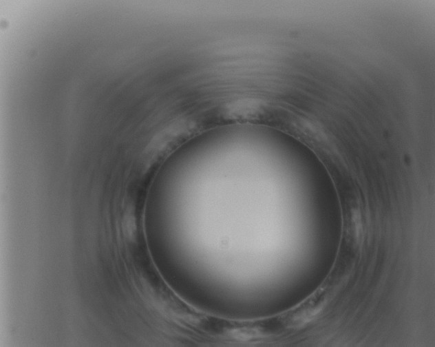 X0000062920508200601202005