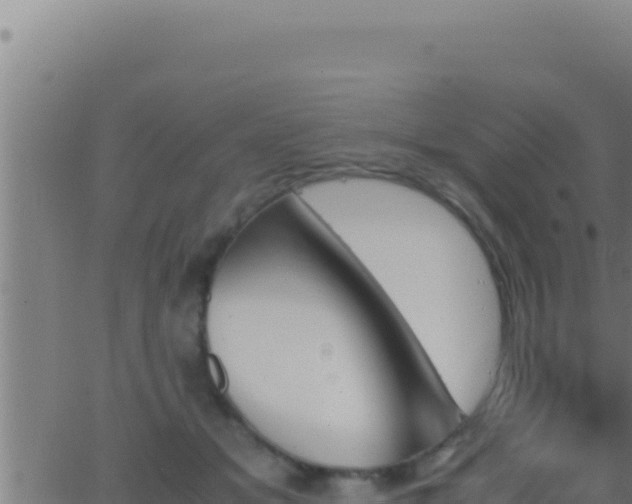 X0000062920509200601202005