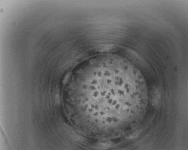 X0000062920510200601202005