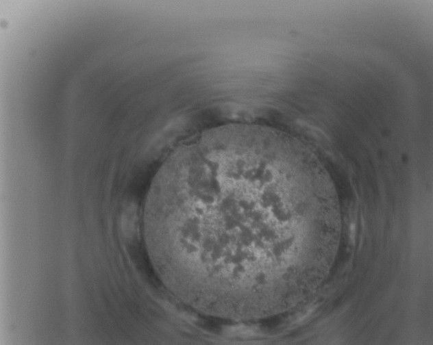 X0000062920511200601202005