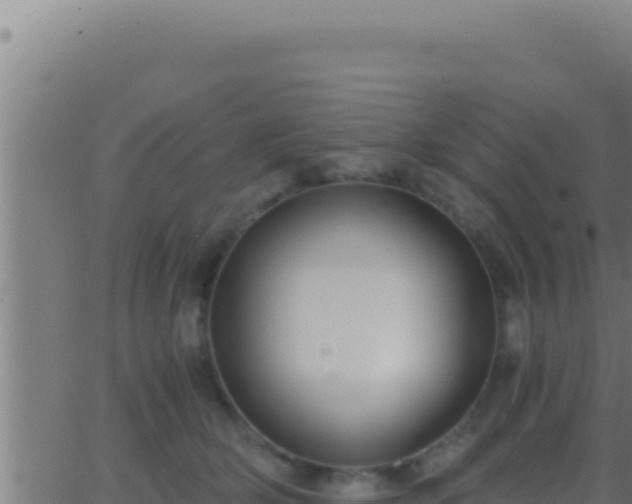 X0000062920514200601202005