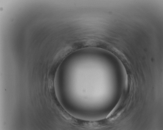 X0000062920517200601202005