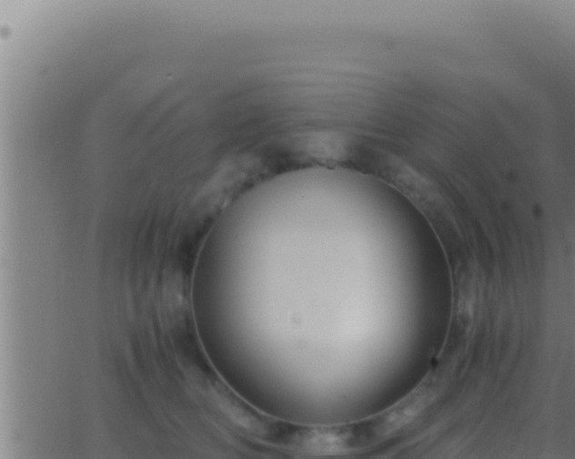 X0000062920518200601202005