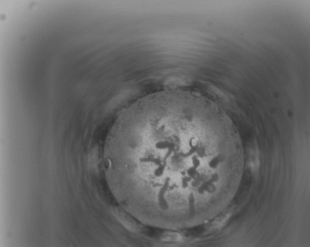 X0000062920519200601202005