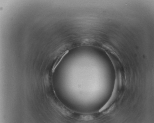 X0000062920520200601202005