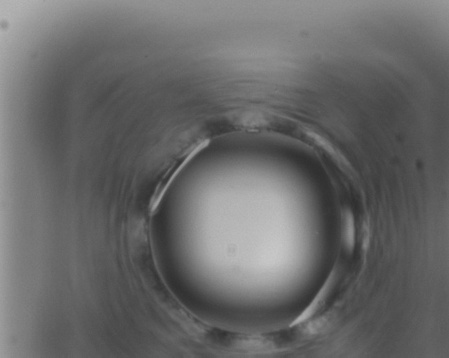 X0000062920521200601202005