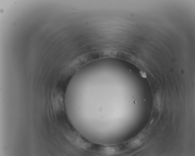 X0000062920522200601202005